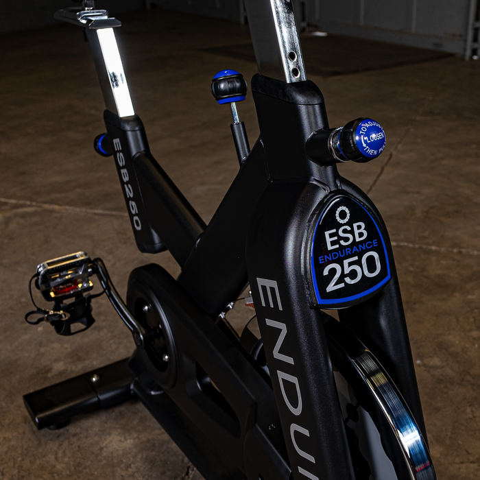 Body Solid ENDURANCE Indoor Exercise Bike, ESB250